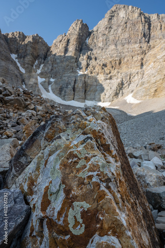 Lichen Covered Rock Mimics Wheeler Peak In the Distance