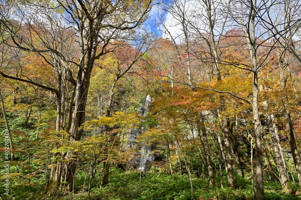 Fototapeta premium 青空バックに見る黄葉と滝のコラボ情景＠奥入瀬渓流、青森