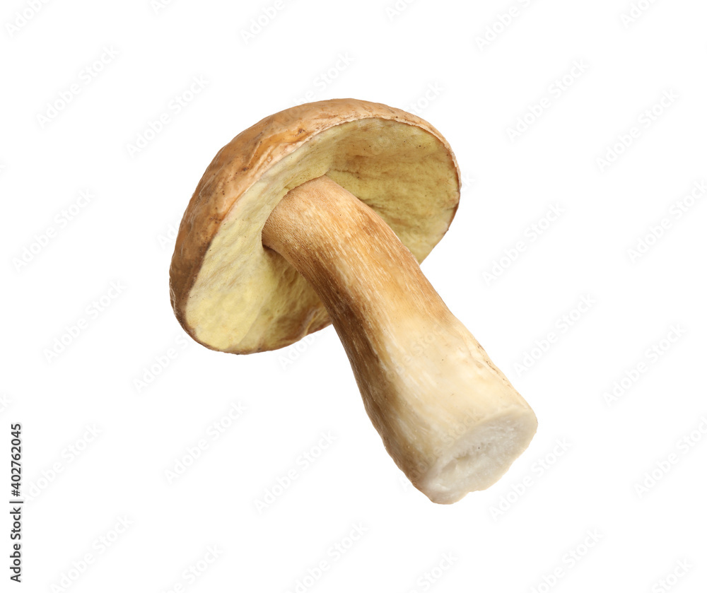Fresh slippery jack mushroom isolated on white Fresh slippery jack mushroom isolated on white