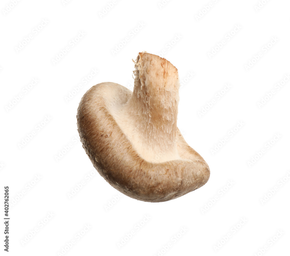 Fototapeta premium Fresh wild shiitake mushroom isolated on white