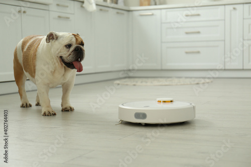 Robotic vacuum cleaner and adorable dog on floor in kitchen