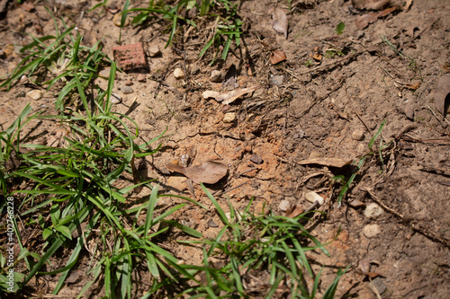 Ground Drought Conditions