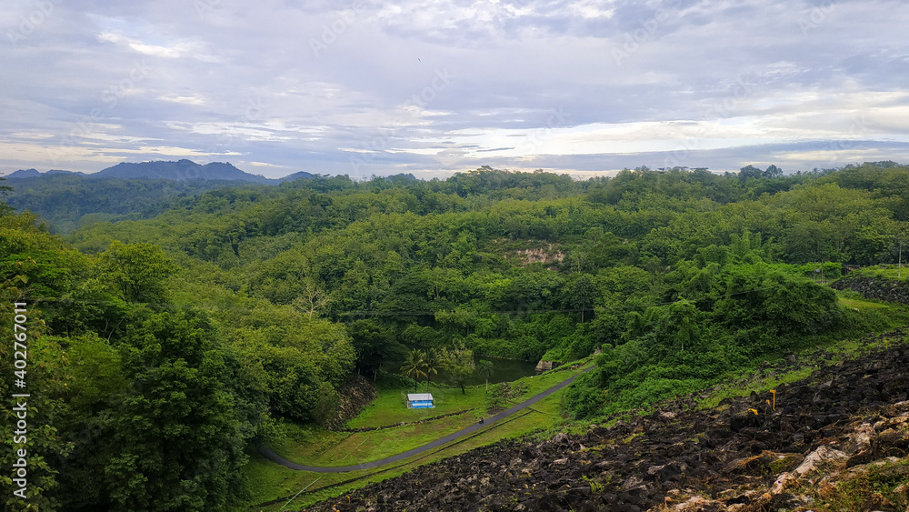 natural beauty of mountains filled with green forests