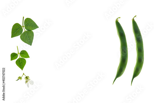 closeup of green runner bean pods and leaves on white background with copy space in centre