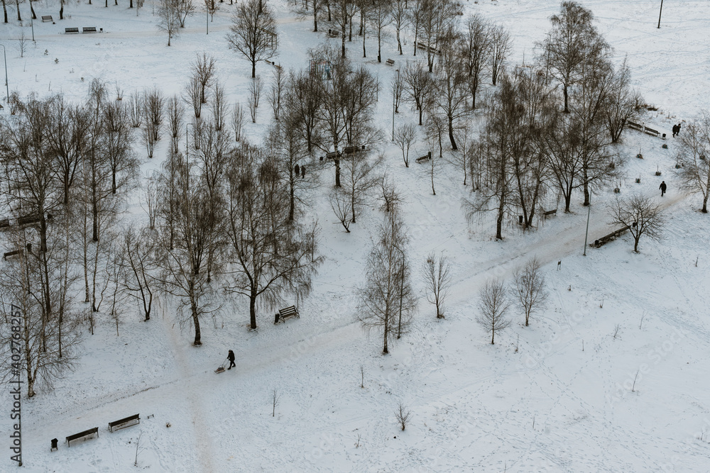 Fototapeta premium Winter morning