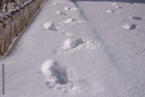 Wallpaper Mural 눈위에 찍힌 발자국 Torontodigital.ca