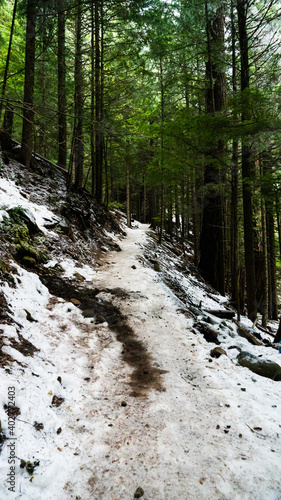 Snowy mountain trail