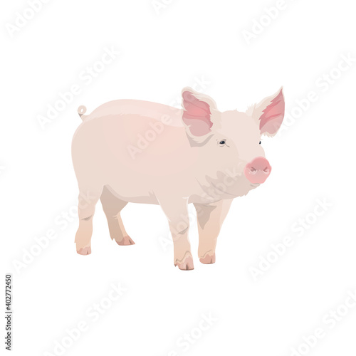 Pig, farm animal icon, vector cattle farming and pork meat food product symbol. Cartoon isolated pig piglet, butcher shop and farm market animal sign