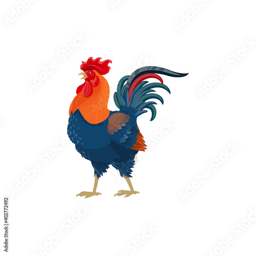 Rooster cock bird, farm agriculture poultry and domestic fowl meat vector icon. Rooster cock or cockerel farm bird and food product or butcher shop isolated symbol