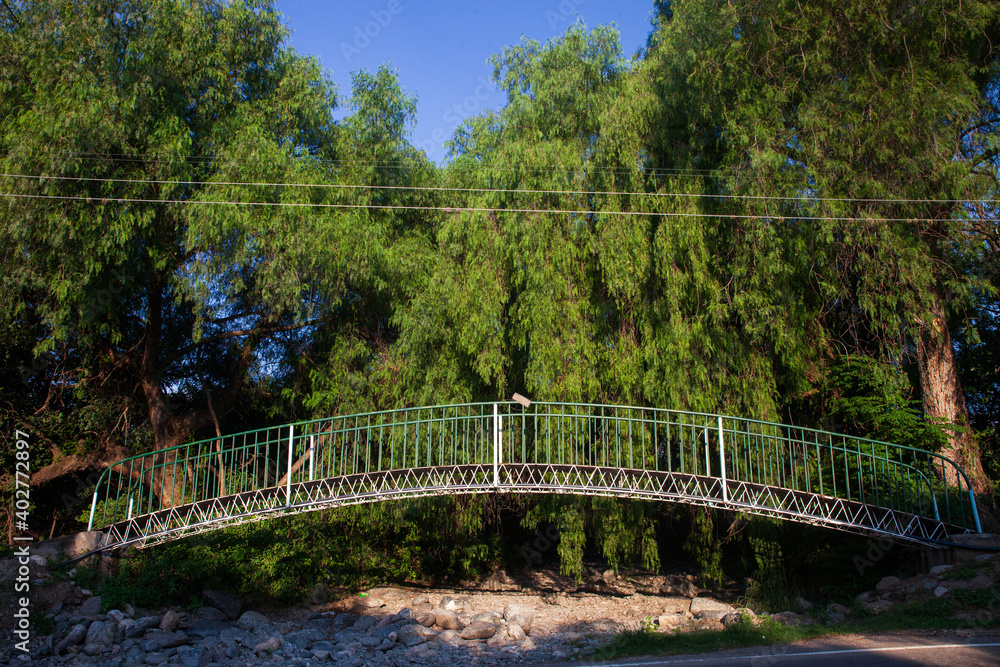 Obraz premium bridge with forestation in the background