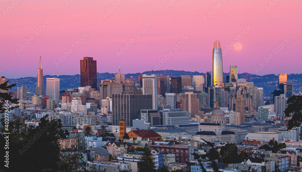 Fototapeta premium San Francisco Cityscape