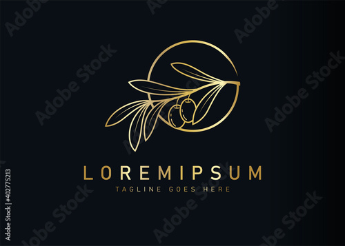 Golden olive branch logo design. Vector illustration of botanical olive with circle. Vintage logo design vector line icon template