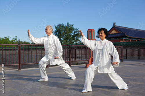 Two old people playing Tai Chi in the park
