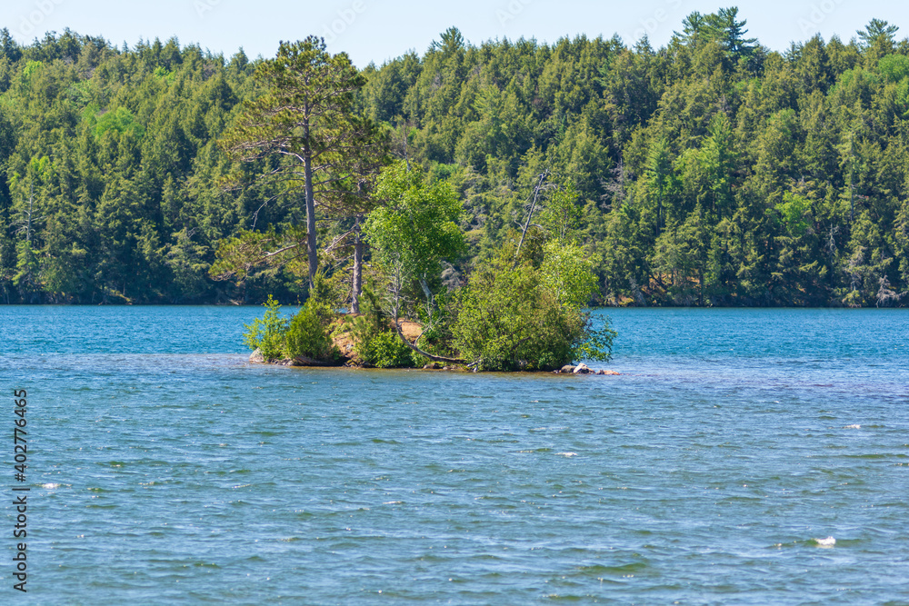 Obraz premium Island on a Lake, Wisconsin, USA
