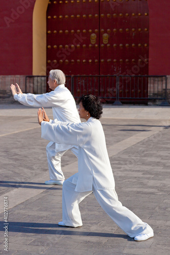 Two old people playing Tai Chi in the park