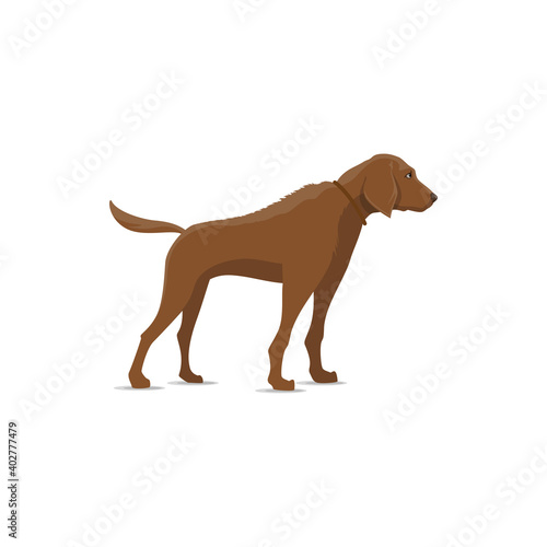 Dog isolated vector icon. Hunting canine vector animal  large pointer hound breed