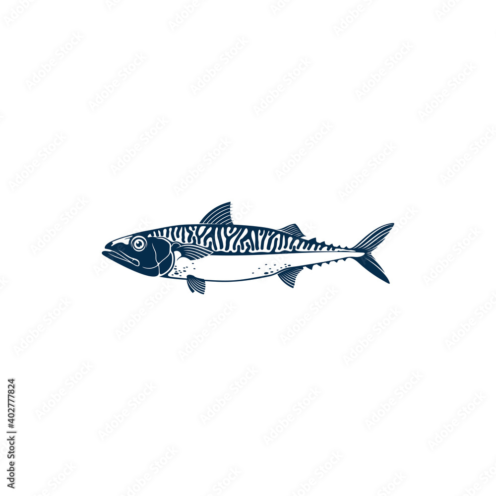 Mackerel common name of different species of pelagic fish, family Scombridae. Vector Short indian mackerel, Atlantic chub Wahoo scombrid fish. Underwater animal, fishing sport trophy isolated Mackerel common name of different species of pelagic fish, family Scombridae. Vector Short indian mackerel, Atlantic chub Wahoo scombrid fish. Underwater animal, fishing sport trophy isolated
