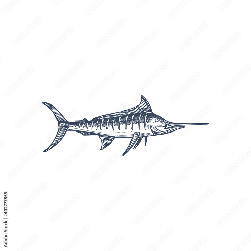 Broadbills fish sword like snout isolated swordfish monochrome icon