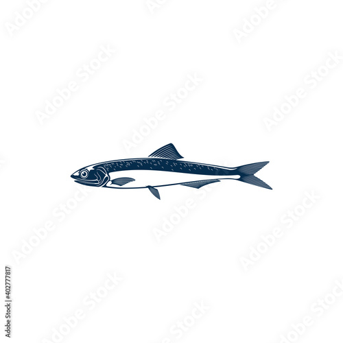 Anchovy small forage fish family Engraulidae isolated icon. Vector shoaling fish used as food and bait. European anchovy, Engraulis encrasicolus, Anchoa, Anchoviella, Engraulis or Stolephorus, Thryssa