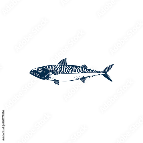 Mackerel common name of different species of pelagic fish, family Scombridae. Vector Short indian mackerel, Atlantic chub Wahoo scombrid fish. Underwater animal, fishing sport trophy isolated