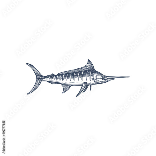 Broadbills fish sword like snout isolated swordfish monochrome icon. Vector long toms marlin, broadbill saltfish with long flattened snout. Predatory game fish with long, flat bill, Xiphiidae