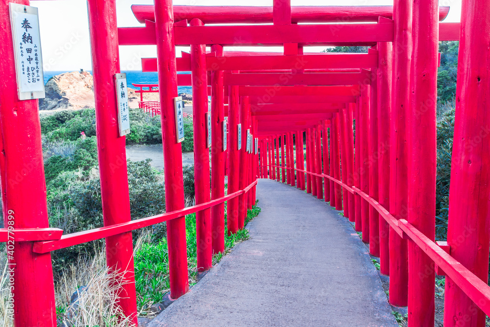 君は元乃隅稲成神社へ行ったことがあるかい？もし、まだなら一度行ってみよう！