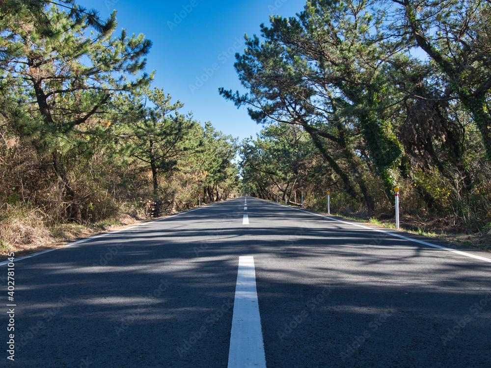 Fototapeta premium 富津岬にある道路