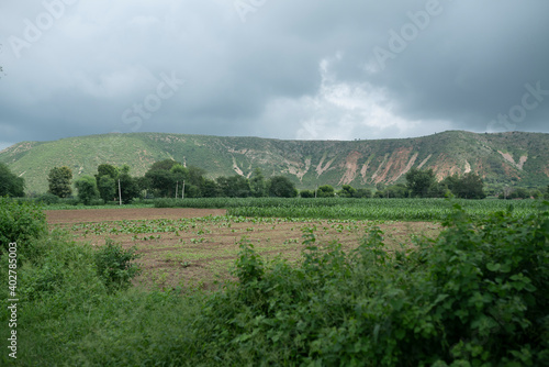 dausa, Rajasthan, India - aghust 15, 2020 Farmer working in the farm rural village
