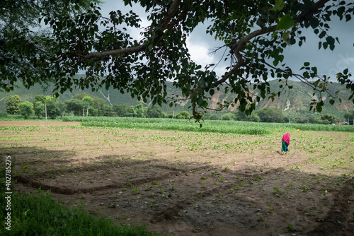 dausa, Rajasthan, India - aghust 15, 2020 Farmer working in the farm rural village