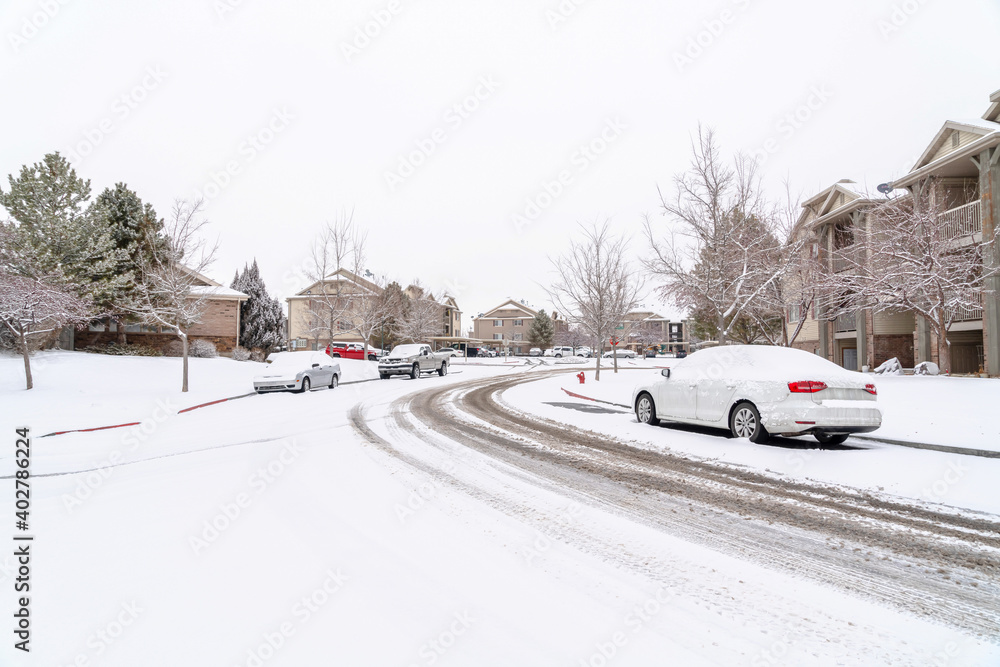 Frosty neighborhood on a winter setting with road along houses and yards