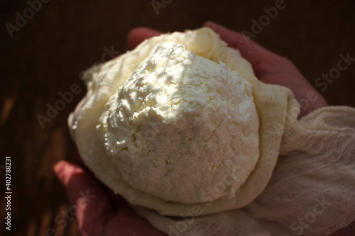 Close-up of female hands with freshly made cottage cheese wrapped in cheese cloth.
