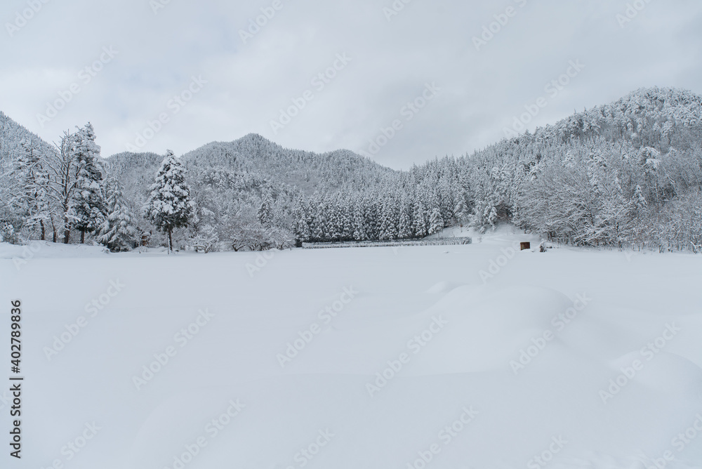 雪が降って、一面真っ白の山の風景