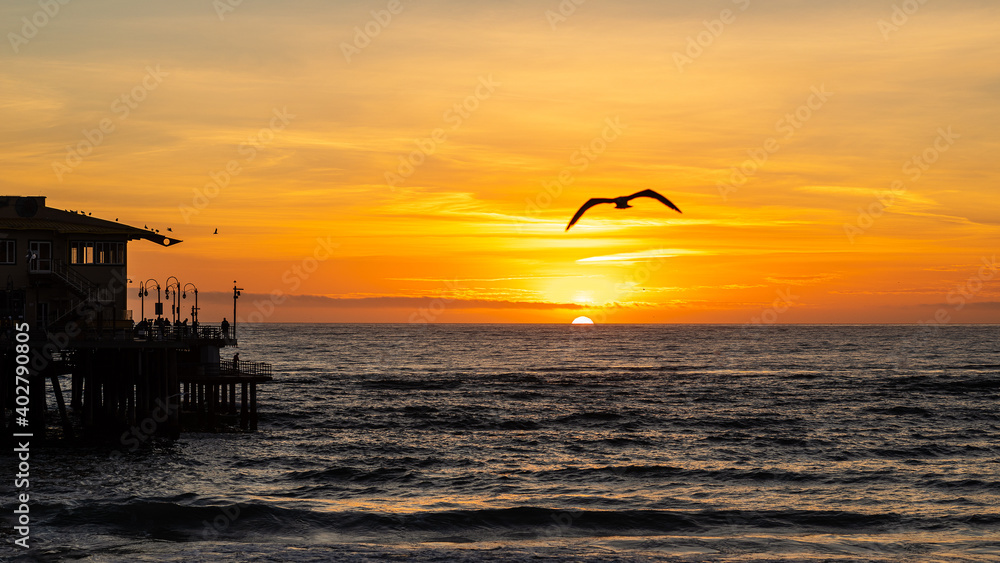 Sunset at the Santa Monica Pier with a silhouetted Seagull