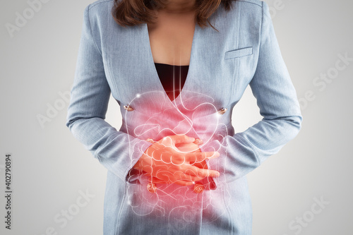 Illustration of internal organs is on the woman's body against the gray background. Business Woman touching stomach painful suffering from enteritis. internal organs of the human body. photo