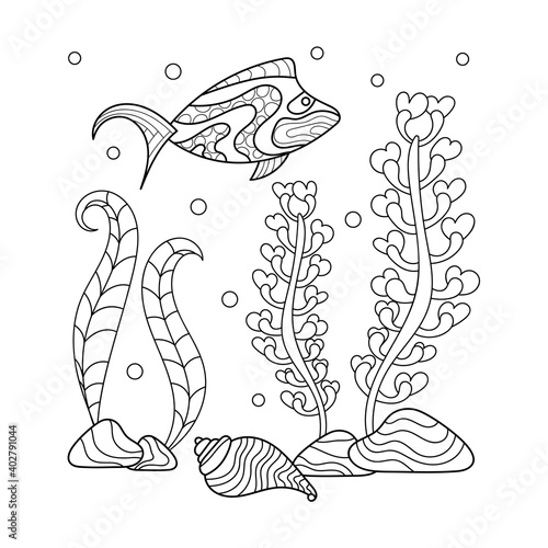 Coloring book . Hand-drawn fish shells and seaweed . Coloring pages for children and adults.