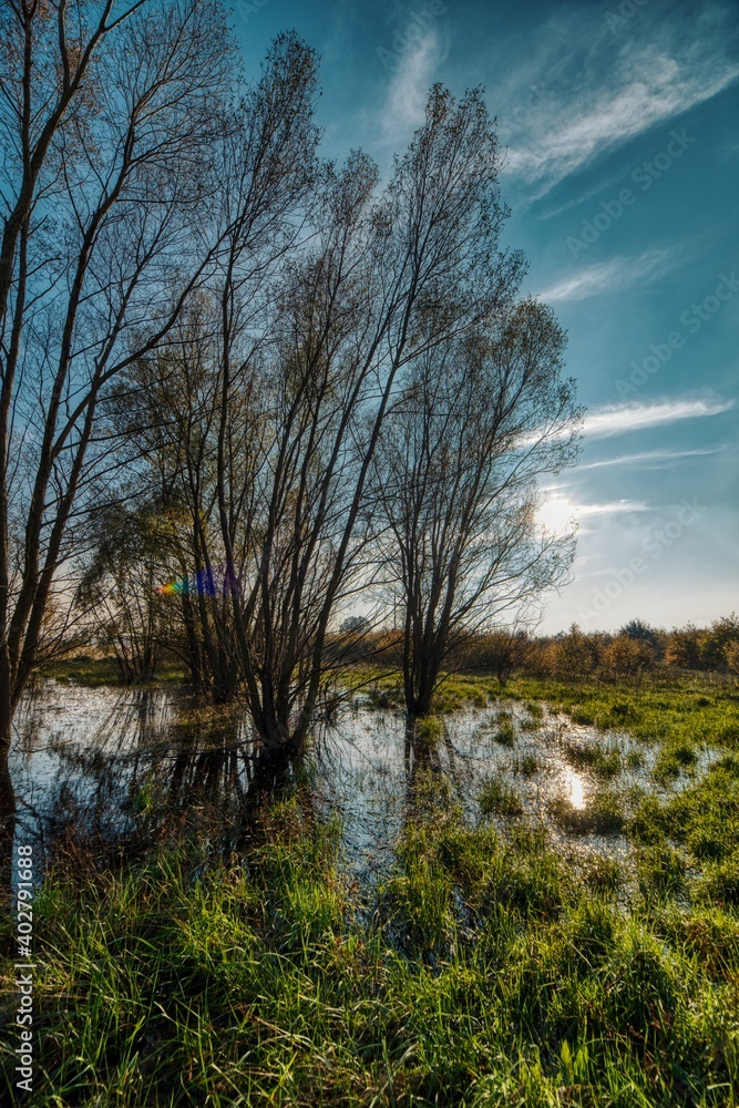 Obraz premium Rozlewisko