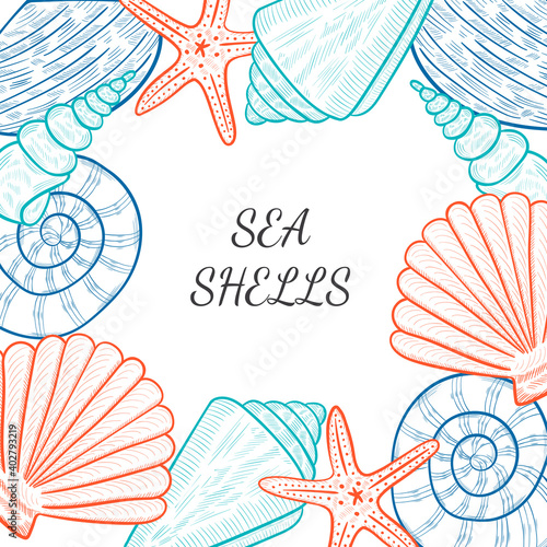 seashells, starfish border 1