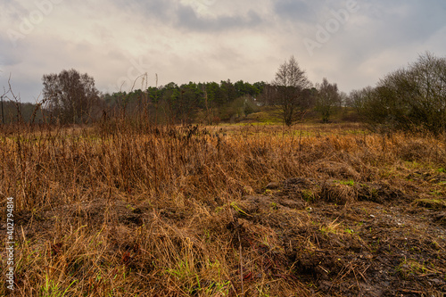 A beautiful moor landscape with a dark sky in the background. Picture from Revingehed, Scania county, Sweden