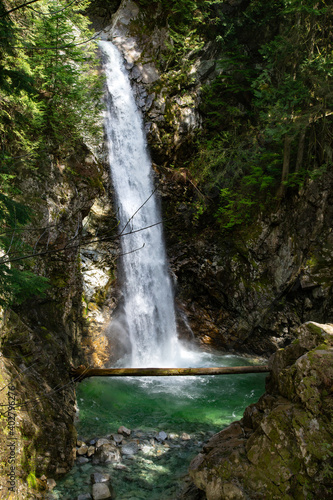 waterfall in the forest