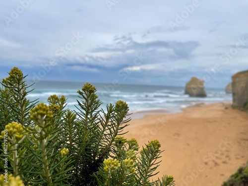 beach with palm trees