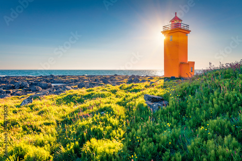 Attractive summer view of Stafnesviti lighthouse among the field of blooming flowers. Captivating morning landscape of Iceland, Europe. Traveling concept background.. photo