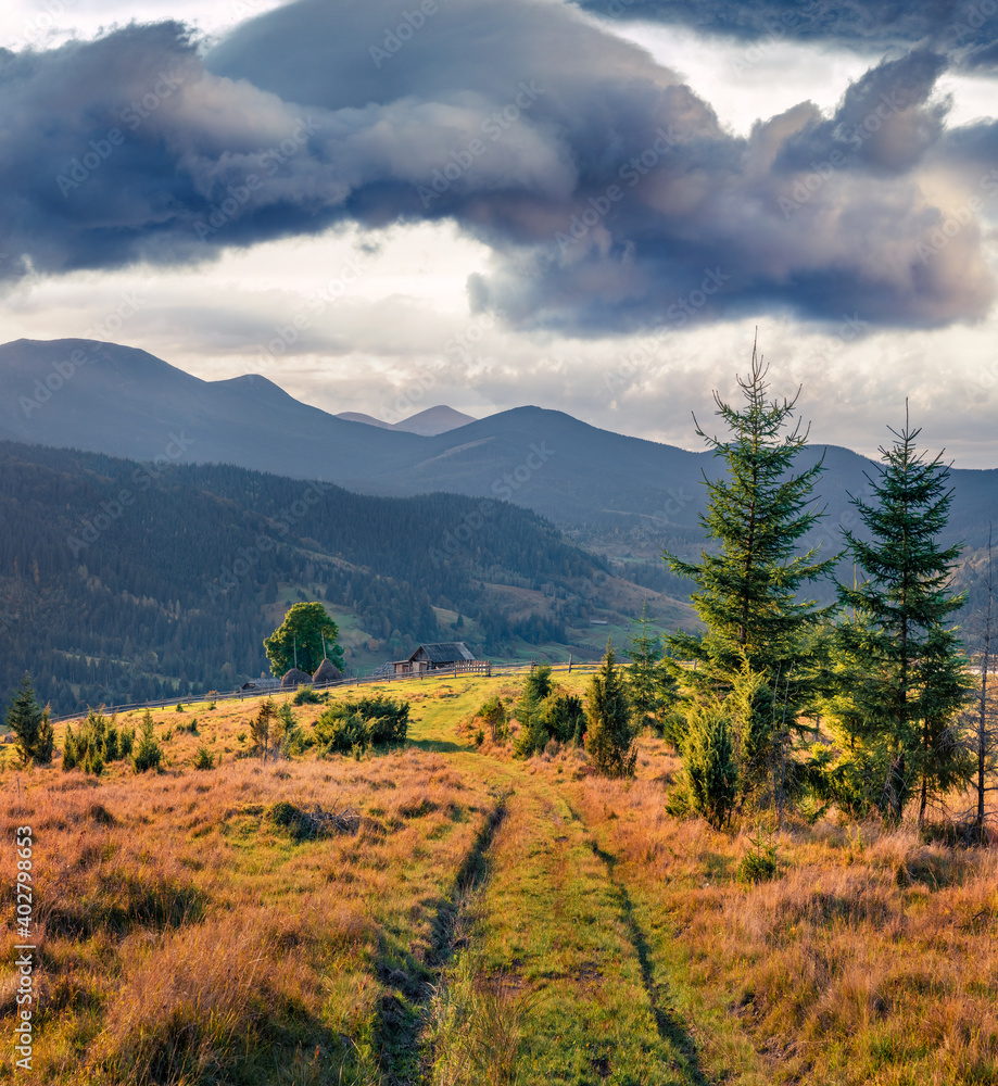 Beautiful summer scenery. Dramatic morning view of Carpethian mountains. Sunny summer scene of mountain valley. Beauty of nature concept background. Beautiful summer scenery. Dramatic morning view of Carpethian mountains. Sunny summer scene of mountain valley. Beauty of nature concept background.