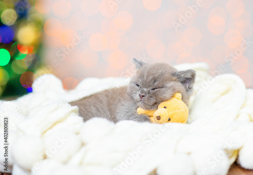 A small gray kitten sleeps on a white blanket hugging a small teddy bear on a background of lights © Ermolaeva Olga