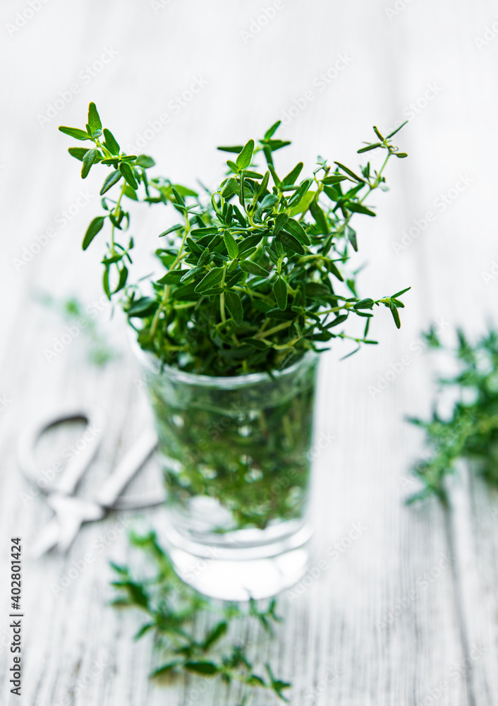 Close up view of thyme bunch. Green thyme in a glass Close up view of thyme bunch. Green thyme in a glass