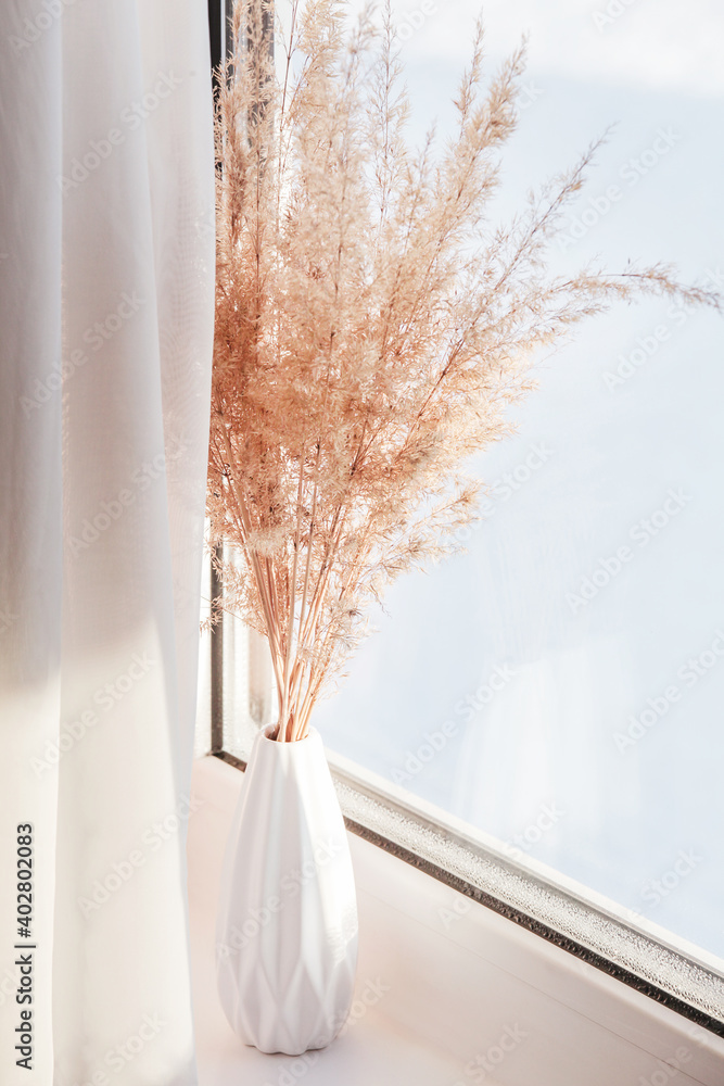 Pampas grass in white vase on windowsill with white curtains. minimalistic pampa concept. New Trendy Home Decor. Pampas grass in white vase on windowsill with white curtains. minimalistic pampa concept. New Trendy Home Decor.