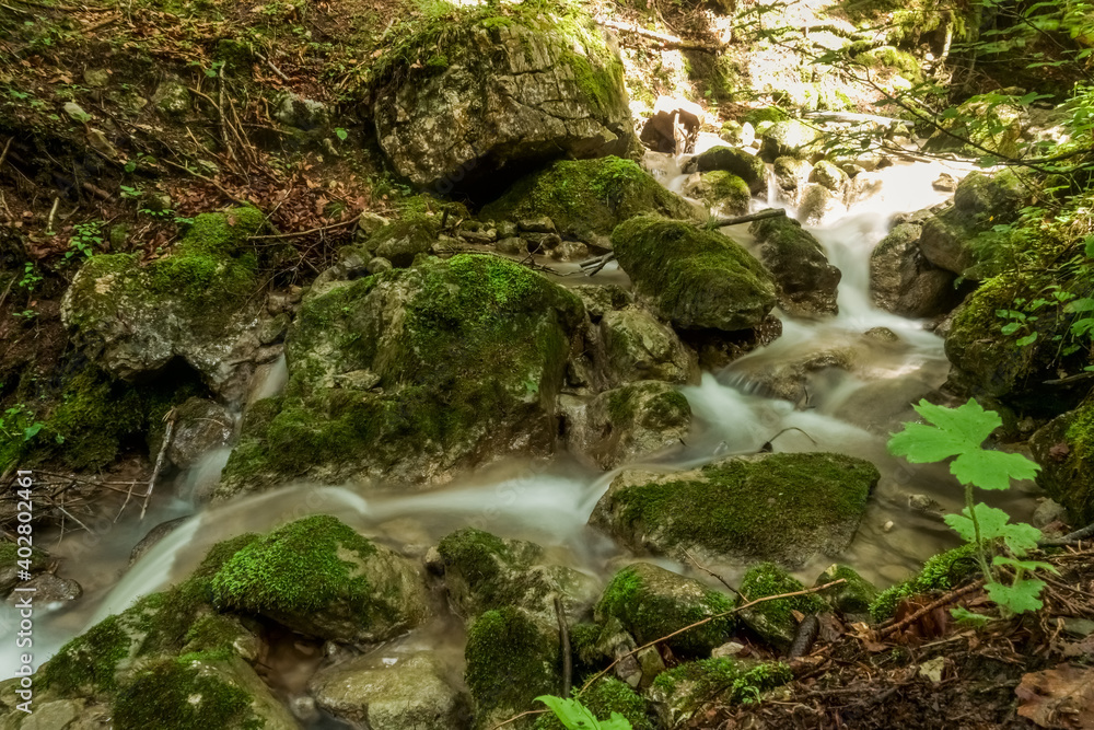 little flowing waterfall between little rocks with green moss