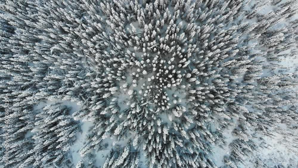 Snowy, winter landscape from drone, above, aerial slowing panning up and above. Taken during frozen, snow season in Canada. Wilderness, spruce trees in forest, woods setting. Snowy, winter landscape from drone, above, aerial slowing panning up and above. Taken during frozen, snow season in Canada. Wilderness, spruce trees in forest, woods setting.