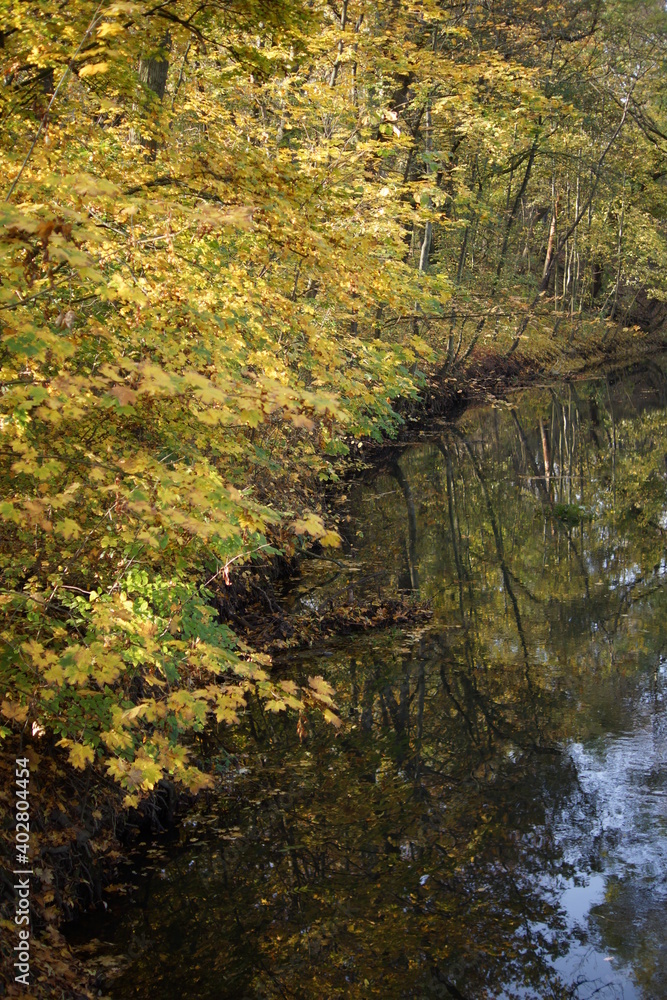 Autumn. Fall nature scene. Autumnal park. Autumn. Fall nature scene. Autumnal park.