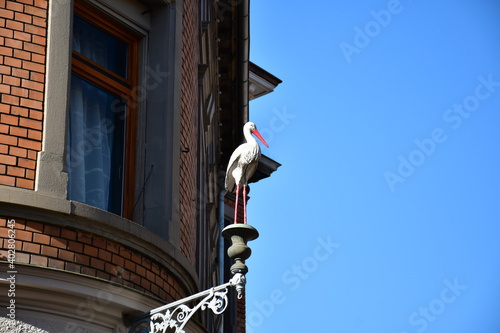 Eine alter Storch Werbefigur an der Hausfassade