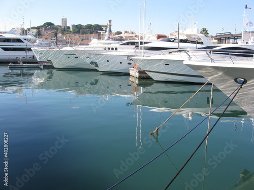 Port de plaisance à Cannes : proue des yachts